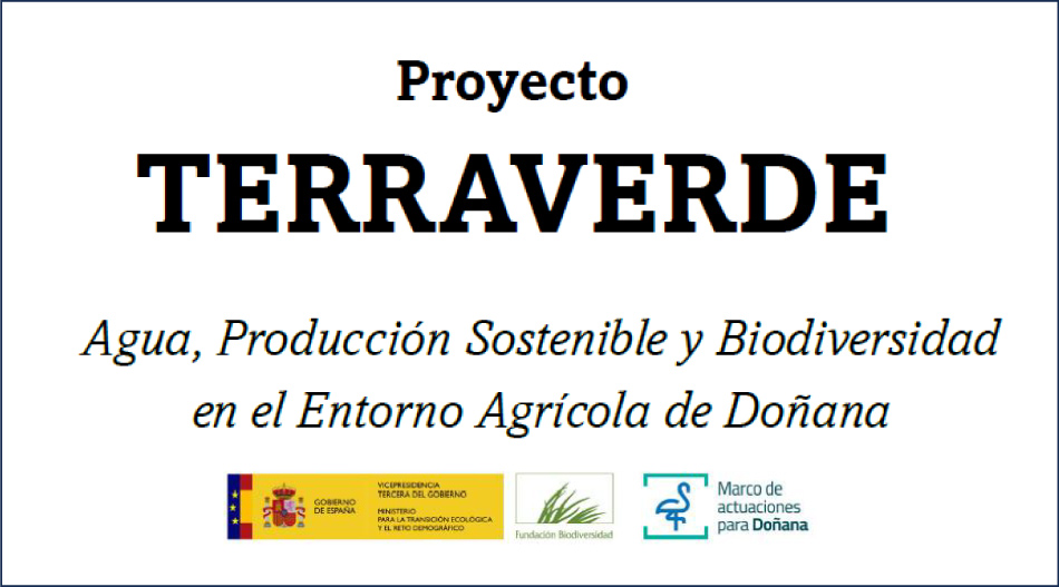 proyecto-terraverde