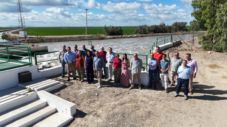 Doñana como vanguardia hídrica: el arrozal sevillano se transforma en el referente de la Agricultura 4.0